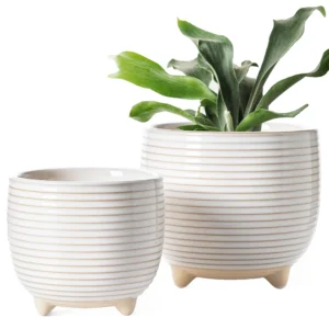 Plant Pots, 5.1